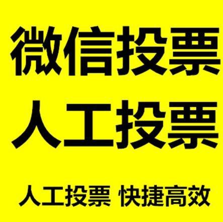 陇南市微信投票哪个速度快？